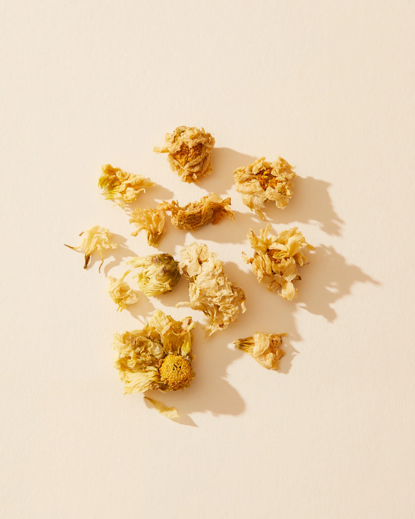 chrysanthemum flowers