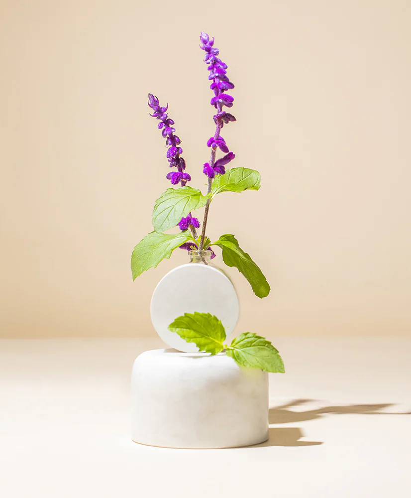 PATCHOULI ESSENTIAL OIL