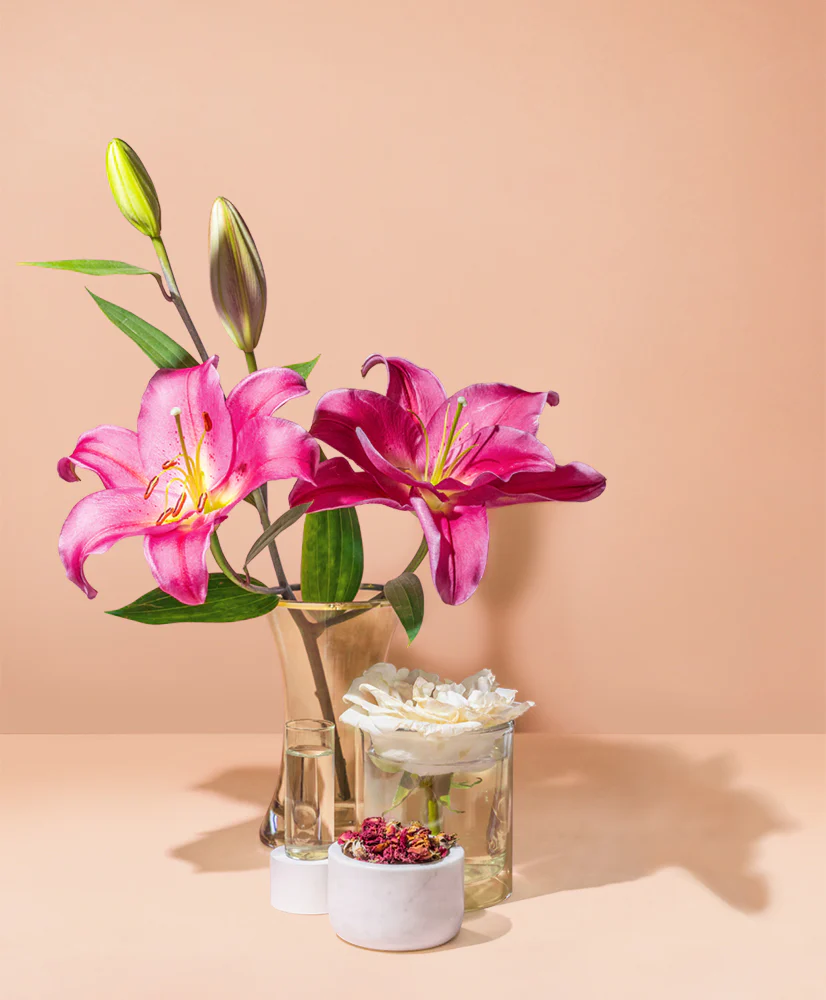 waterlily & rosehip™ natural fragrance oil